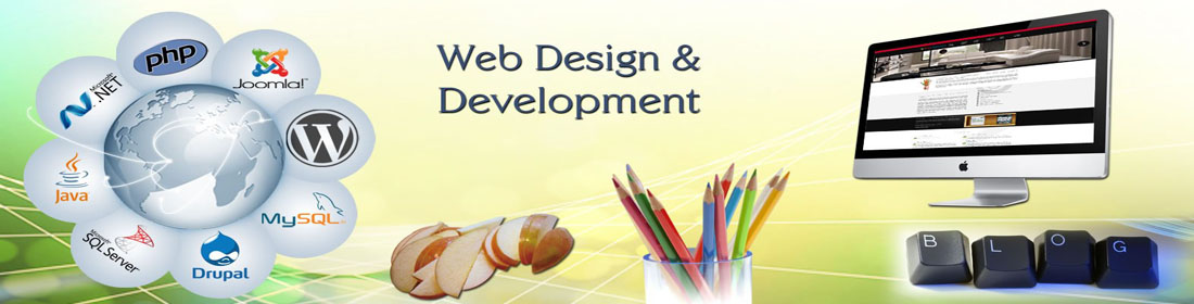 Professional Website Design and Developement